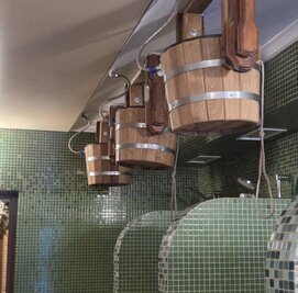 Старославянская баня «Ладомир» відгуки, лазня/сауна Киев Киево-Святошинский район с. Гореничи, ул. Максима Рыльского 19, фото, адреса з картою проїзду.