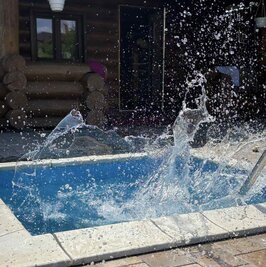 «BATHHOUSE» on wood in Gatnoye. Teremki. reviews, bath/sauna Kyiv Goloseevsky district Hatne st. Youth, photo, address with a travel card.