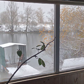 Firewood sauna «Friday» by the water reviews, bath/sauna Kyiv Obolonsky district St. Prirechnaya, 37, photo, address with a travel card.