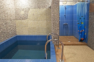 Сауна в старой Боярке reviews, bath/sauna Kyiv Goloseevsky district Boyarka, st. Vasylkivska, 46/2, photo, address with a travel card.
