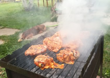 Family bath in Tarasovka reviews, bath/sauna Tarasivka  district village of Tarasovka, Sadovaya st., 15, photo, address with a travel card.