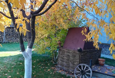 Family bath in Tarasovka reviews, bath/sauna Tarasivka  district village of Tarasovka, Sadovaya st., 15, photo, address with a travel card.