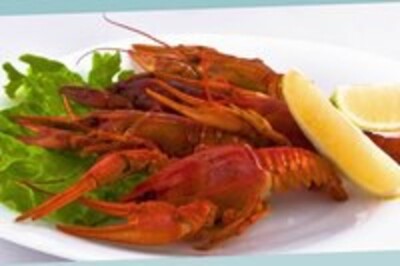 The Podkova wood-fired sauna (at Hydropark), with access to the Dnieper River reviews, bath/sauna Kyiv Dnieper  district Dolobetsky Island (5 minutes from Hydropark metro station), photo, address with a travel card.